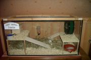 Aquarium mit Holzebenen und Deckel (Eigenbau)