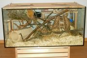 Aquarium für einen Teddyhamster (100x50x50 cm)