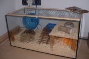 Hamster-Aquarium (60x30x30 cm)