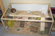 Aquarium für einen Dsungaren (90x55x45cm)